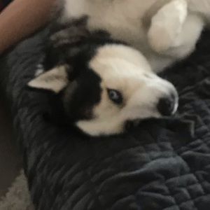 Meet your Posher, Breanna